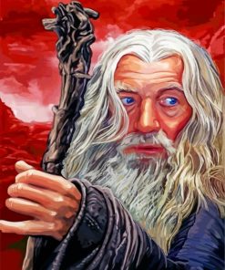 Gandalf Movie Classic Paint By Numbers
