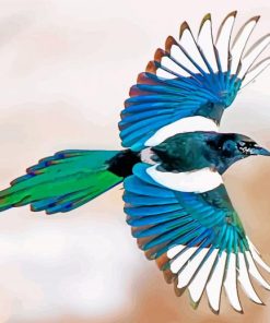 Magpie Bird Art Paint By Numbers