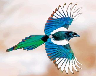 Magpie Bird Art Paint By Numbers