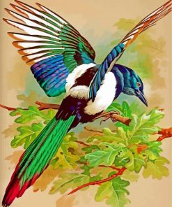 Magpie Animals Paint By Numbers
