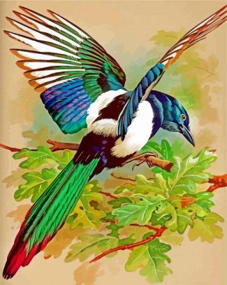 Magpie Animals Paint By Numbers