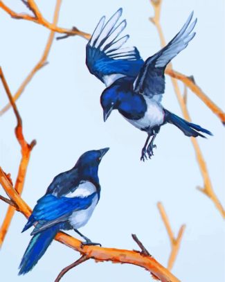 Magpie Bird Painting Paint By Numbers