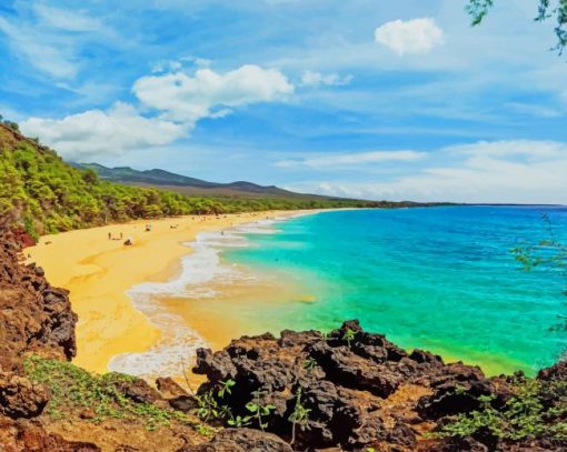 makena-state-park-hawaii-paint-by-numbers