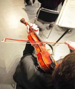 Violinist in Action Paint By Numbers