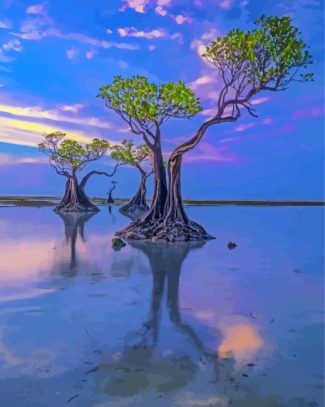 Mangrove Trees Seascapes Paint By Numbers