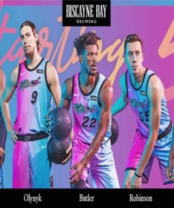 Miami Heat Basketball Stars Paint By Numbers