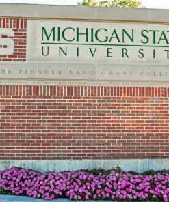 Michigan State University Campus Paint By Numbers