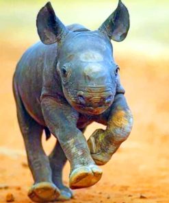 Baby Rhino Paint By Numbers