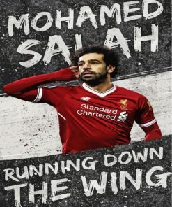 The Legend of Football Mohamed Salah Paint By Numbers
