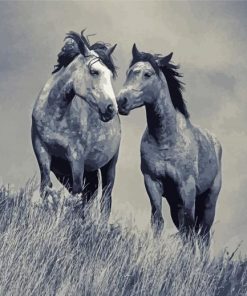 Monochrome Horse Duo Paint By Numbers