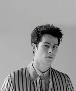 Dylan O'Brien Black and White Paint By Numbers