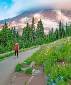 Mount Rainier Scenic Paint By Numbers