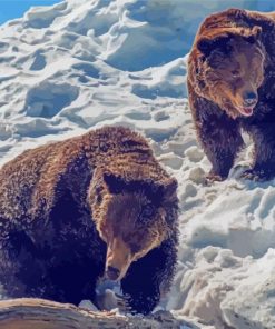 Snowy Mountain Bears Paint By Numbers