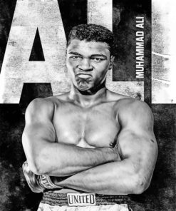 Muhammad Ali Boxing Icon Paint By Numbers