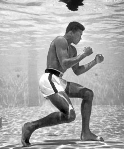 Muhammad Ali Boxing Legend Paint By Numbers