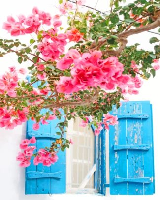 Mykonos Pink Flower Scenery Paint By Numbers