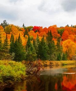 Fall New England Landscapes Paint By Numbers