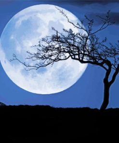 Night Tree Moon Landscape Paint By Numbers