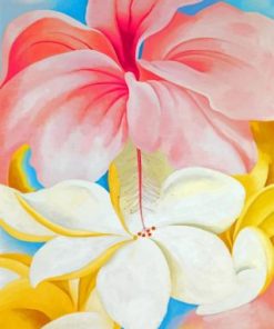 Georgia O'Keeffe Hibiscus Flowers Paint By Numbers