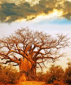 Pristine Baobab Landscapes Paint By Numbers
