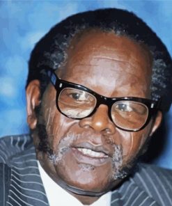 Oliver Tambo Tribute Paint By Numbers