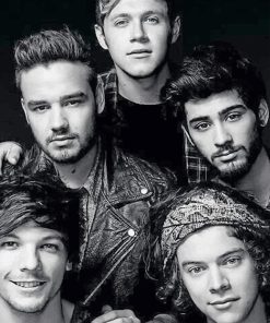 One Direction Music Icons Paint By Numbers
