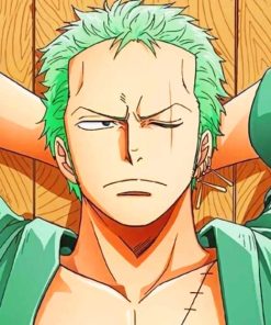Zoro Roronoa Anime Paint By Numbers