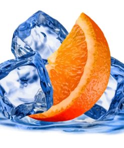 Fresh Orange Fruits Paint By Numbers