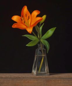 Orange Flower Vase Still Life Paint By Numbers