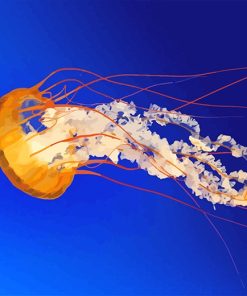 Orange Jellyfish Ocean Paint By Numbers