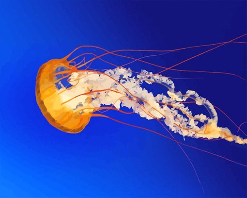 orange-jellyfish-Adult-paint-by-numbers