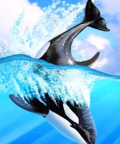 Orca Whale Animal Paint By Numbers
