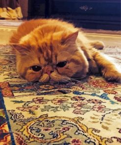 Orange Cat on Rug Paint By Numbers