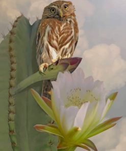 Owl and Cactus Garden Paint By Numbers