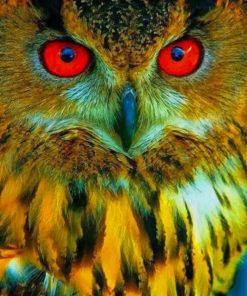 Red-Eyed Eastern Screech Owl Paint By Numbers