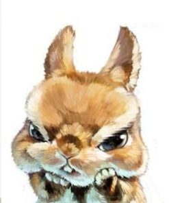 Angry Bunny Art Paint By Numbers