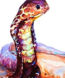 Brown Snake Wildlife Paint By Numbers