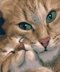 Mommy Cat Animal Paint By Numbers