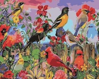 Modern Garden Birds Paint By Numbers