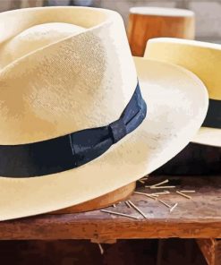 Classic Panama Hat Style Paint By Numbers