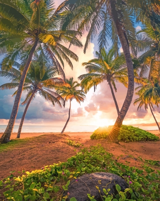 Finalizing Island Sunset Landscapes Paint By Numbers artwork