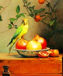 Pomegranate and Parrot Paint By Numbers
