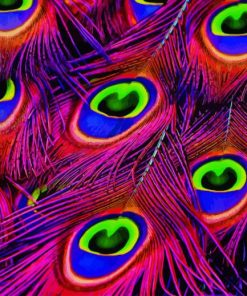 Colorful Peacock Feather Paint By Numbers