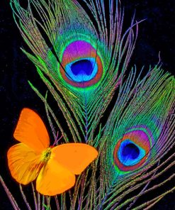 Peacock and Butterfly Paint By Numbers