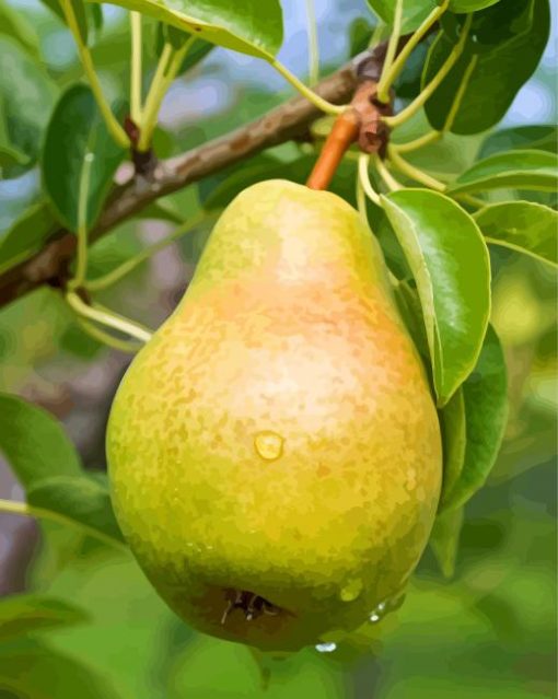 pear-on-tree-paint-by-numbers