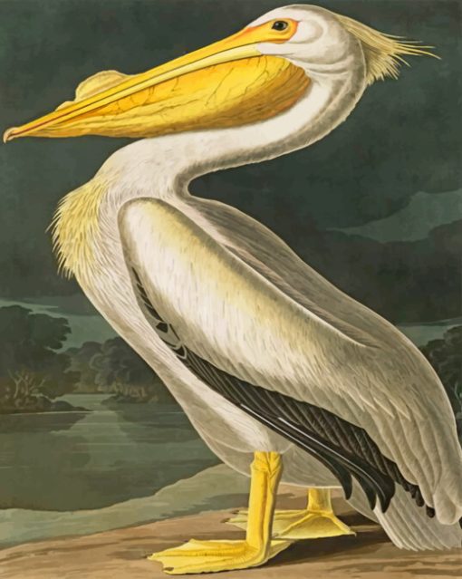 pelicans-paint-by-number