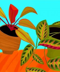 Philodendron Illustration Paint By Numbers