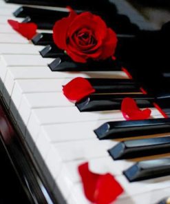 Piano and Red Roses Paint By Numbers