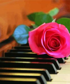 Piano Melody with Pink Rose Paint By Numbers
