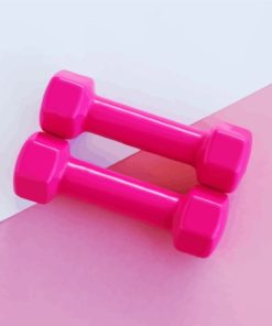 Pink Dumbbell Sports Paint By Numbers